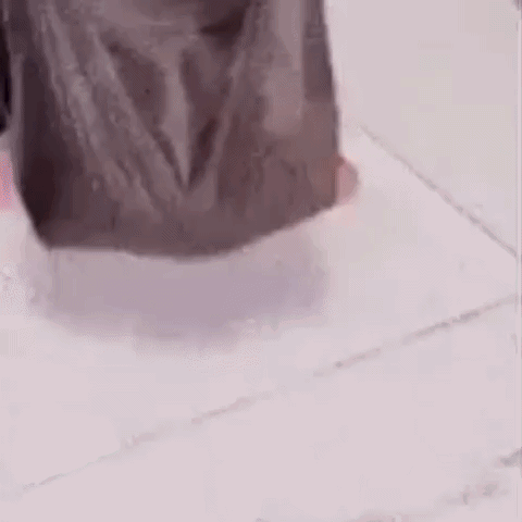 a cat is laying on the floor next to a person playing with a dog .