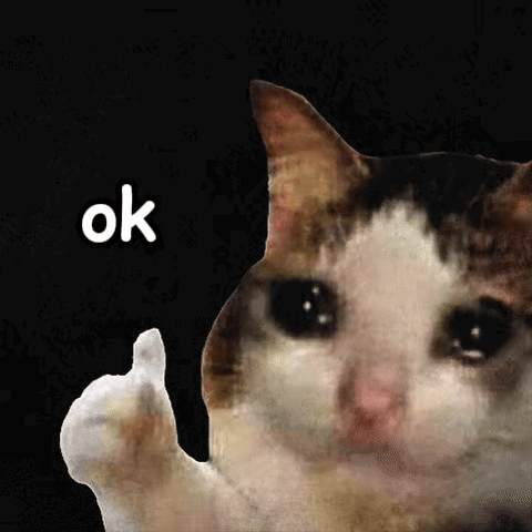 A teary-eyed cat gives a thumbs-up under the caption “ok.”