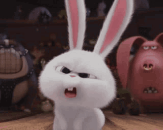 A white animated rabbit stares with a puzzled open-mouthed expression.