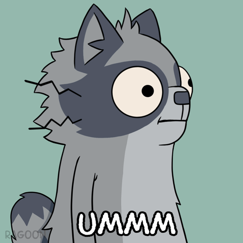 A gray cartoon raccoon stares wide-eyed with text reading “UMMM.”