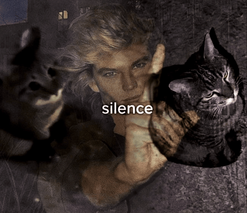a picture of a man and two cats with the word silence underneath it