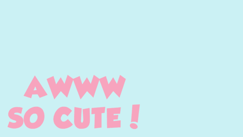 Pink lettering on a pale blue background reads “AWWW SO CUTE!”