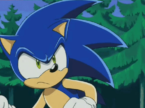 Sonic from Sonic X looks down with a skeptical expression.