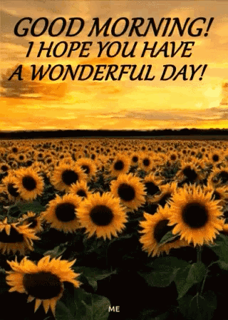 Sunflowers frame the message “Good Morning! I hope you have a wonderful day.”