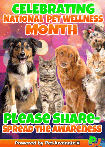 a poster for celebrating national pet wellness month with dogs and cats