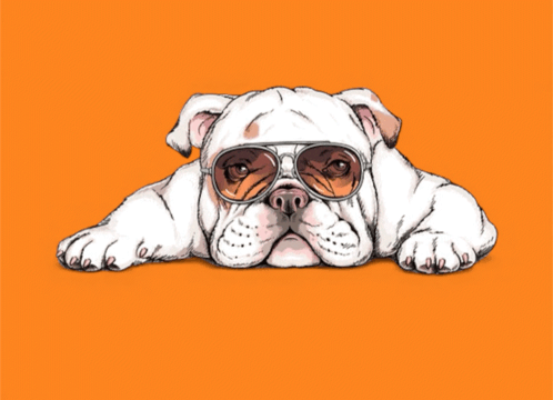 a bulldog wearing sunglasses and the words cool & lazy