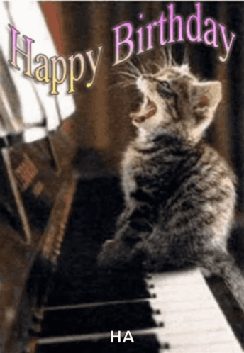 a birthday card with a kitten on a piano