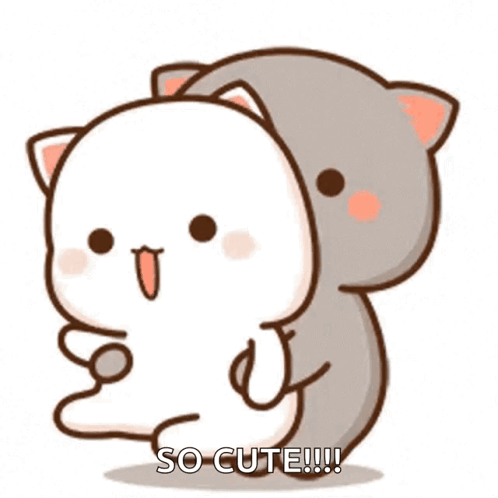 A white cat spins beside a gray cat with “SO CUTE!!!”
