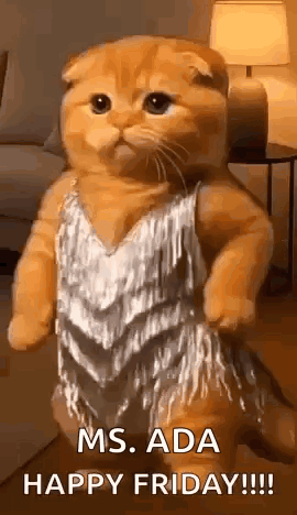 a cat in a dress is standing in a living room .