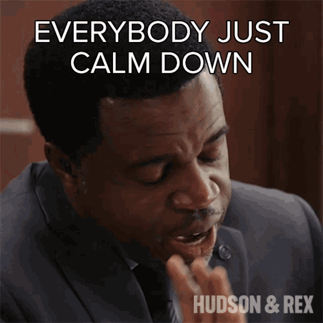 A distressed man says “EVERYBODY JUST CALM DOWN” in a Hudson & Rex scene.
