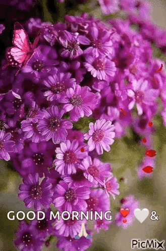 Purple flowers cluster together with a “GOOD MORNING” caption.