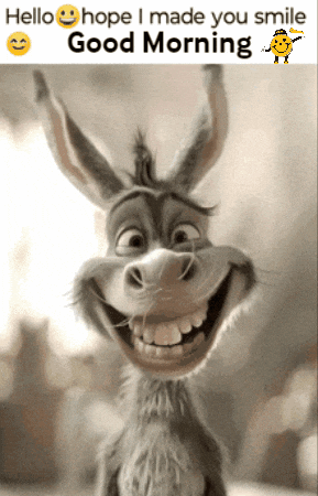 A cheerful donkey smiles under a “Hello Good Morning” message.