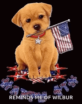 a puppy is holding an american flag in its mouth while sitting on top of a puzzle .