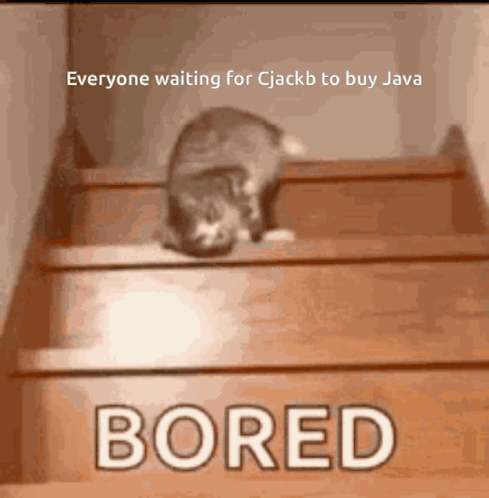 A cat sits on stairs under the caption “Everyone waiting for Cjackb to buy Java,” with “BORED” below.