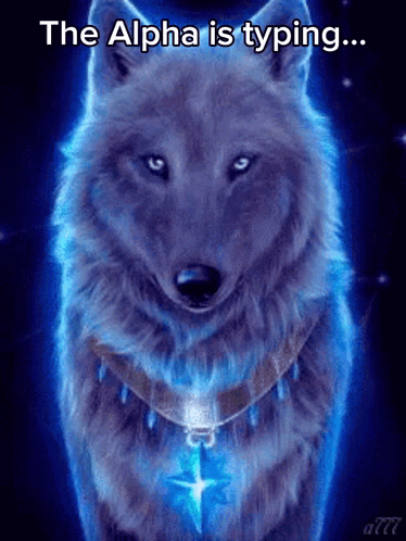 a picture of a wolf with the words the alpha is typing on it