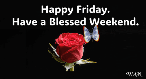 happy friday have a blessed weekend with a red rose and a butterfly