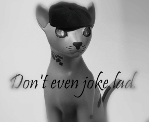 a cat wearing a hat with the words " do n't even joke lad " written on it