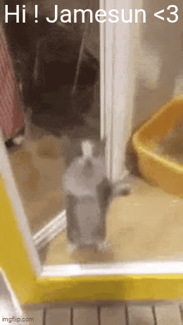 a cat is standing in front of a yellow door with the words hi jamesun < 3 written on it .