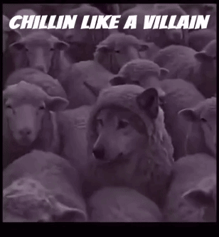 A flock of sheep is captioned “CHILLIN LIKE A VILLAIN.”