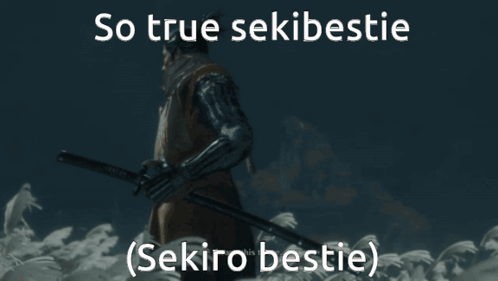 a picture of a man holding a sword with the words so true sekibestie ( sekiro bestie ) below him