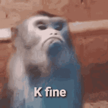 Fuzzy creature stares upward with “K fine” text.