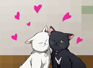 a black and white cat sitting next to each other with pink hearts in the background