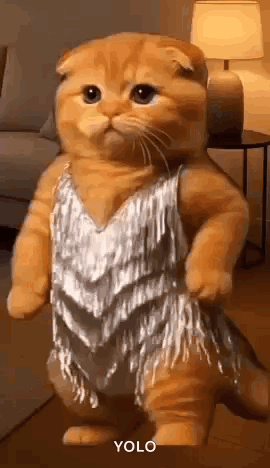 a cat is standing in a room wearing a silver dress .