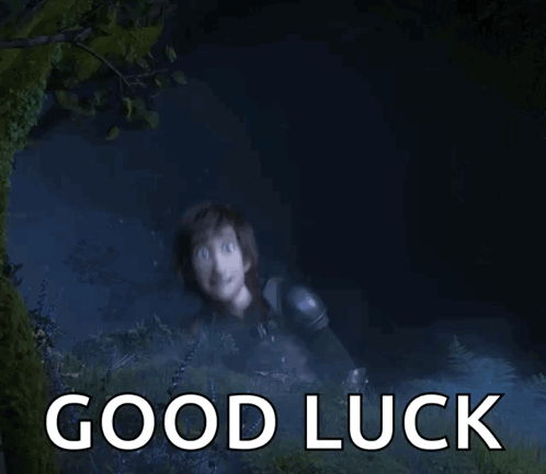 A person appears in a dark blue outdoor scene with large caption text “GOOD LUCK.”