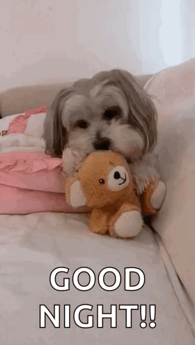 A small fluffy dog sits on a bed beside a teddy bear under “GOOD NIGHT!!”
