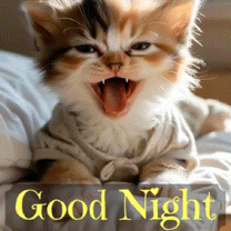 A yawning kitten appears above large “Good Night” lettering.