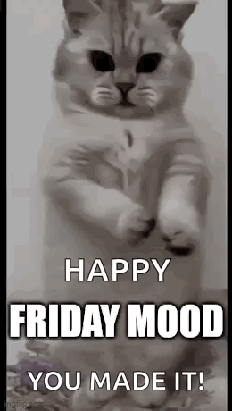 a cat is standing on its hind legs with a happy friday mood you made it .