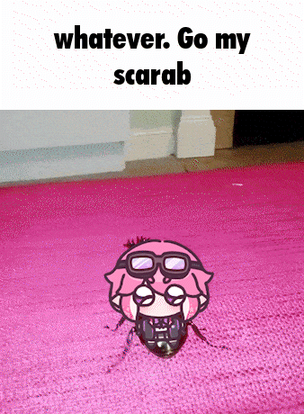 a picture of a cartoon character with the words " whatever go my scarab " on the bottom