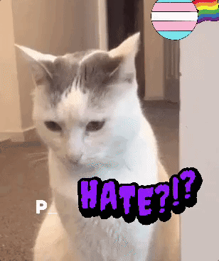 a white cat with a purple sticker that says hate