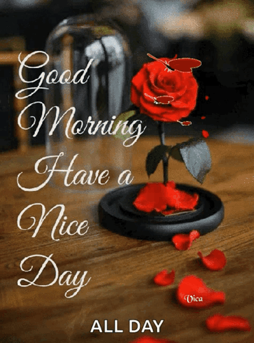 A rose and teacup image reads “Good Morning, Have a Nice Day.”
