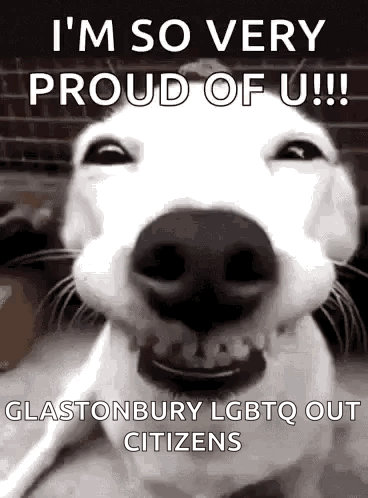 a dog is smiling in a black and white photo with the words `` i 'm so very proud of u ! ''
