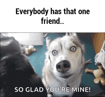 A surprised white dog looks at another dog, captioned “Everybody has that one friend... SO GLAD YOU'RE MINE!”