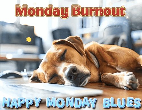a dog is laying on a desk with the words monday burnout happy monday blues