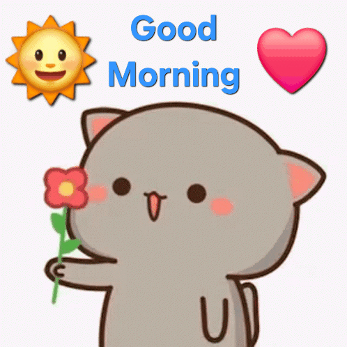 A cute gray cat holds a flower beside blue “Good Morning” text and a heart.
