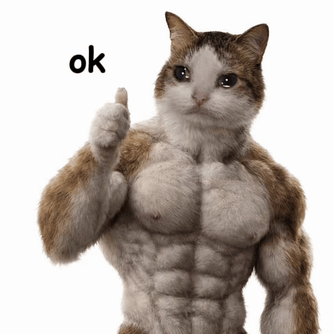 a cat with muscles is giving a thumbs up with the word ok above it