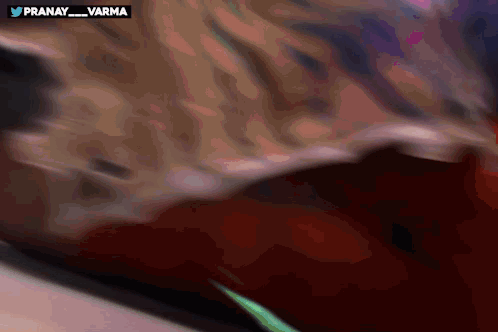 a close up of a person 's face with the words pranay_varma on the bottom right