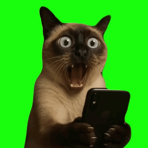 A startled cat holds a phone against a bright green background.