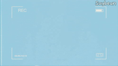 a video of a person holding a teddy bear with the words soybean on the bottom right