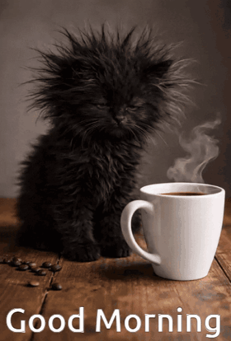 A fluffy black cat sits beside a steaming mug with “Good Morning.”