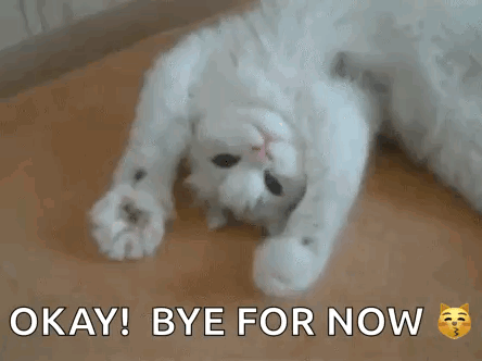A fluffy white cat lies down while the caption says “OKAY! BYE FOR NOW 🥺”.